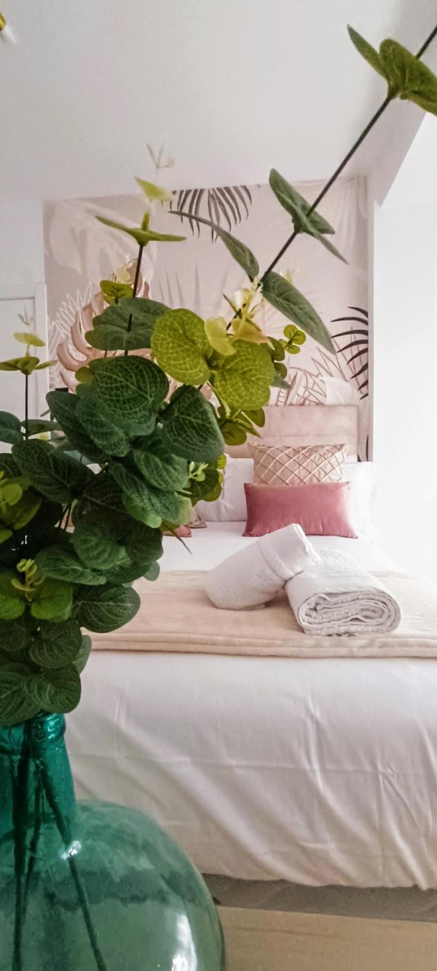 Apartamento Centro Ancha De Gracia 格拉纳达 外观 照片